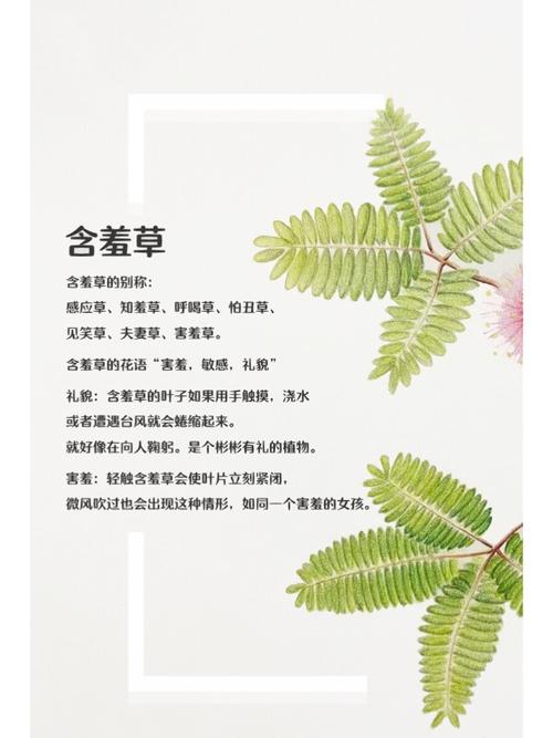 一起撸影院在线观看 | 最新热门电影电视剧免费追剧 | 高清无广告观影体验