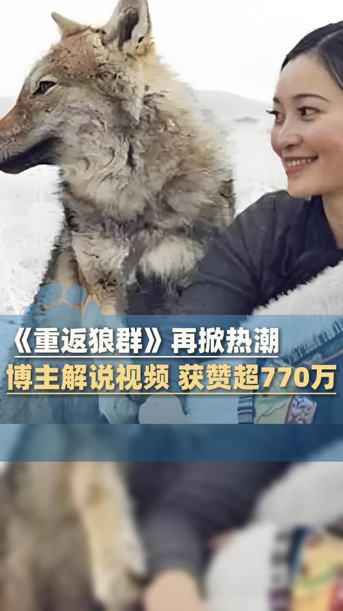 秀夜影院 - 最新高清影视免费在线观看，热门电影电视剧全网搜罗