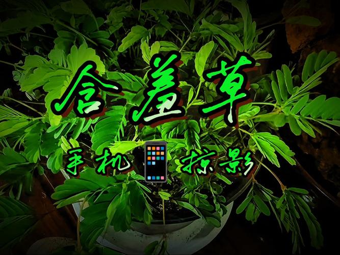 绿色影院在线观看免费版，环保主题影视剧推荐，高清无广告追剧平台