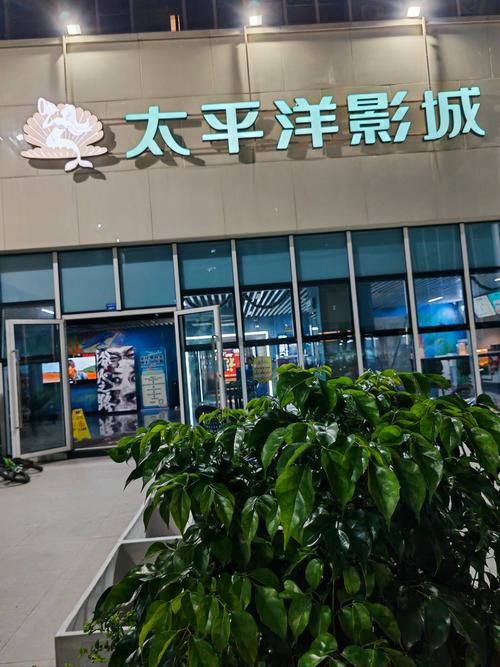 新新影院影音先锋网 - 2025最新热门电影免费在线观看，高清无广告流畅追剧
