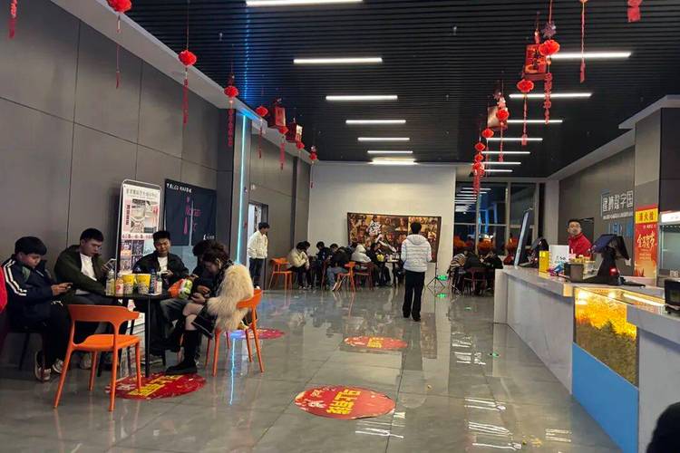 国产精品久久久精品久久久的相关介绍