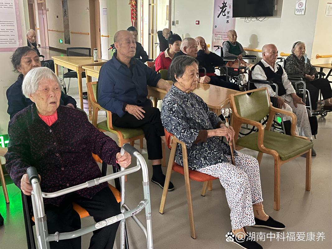 8号影院伦理手机在线看 - 伦理电影手机免下载播放，高清伦理片在线观看无广告，手机影院伦理片资源大全