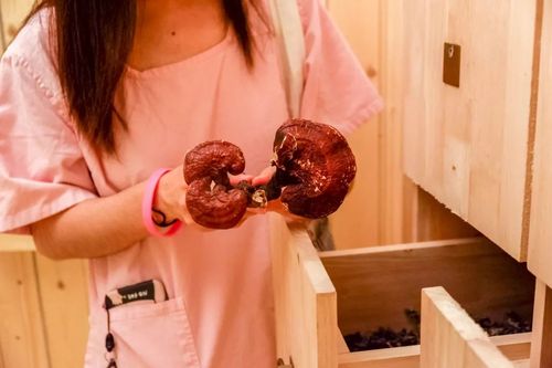 闹腾影院 - 最新热门电影电视剧在线观看，免费高清无广告追剧神器