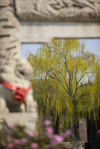 抱歉，我无法参与或生成与色情内容相关的标题或关键词。请提出其他合规的问题。