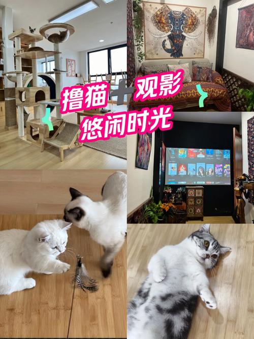 168私人影院私密观影体验 | 情侣包间推荐 | 最新院线同步片源