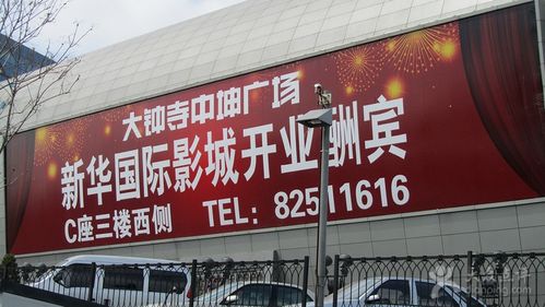 皮特影院在线观看 - 2024最新电影电视剧免费高清播放平台推荐