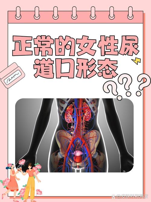 脔到她哭h宫交黑道的相关介绍